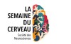 Logo de la société des Neurosciences (cerveau coloré)